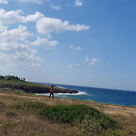 Dans Le Centre Historique Lägenhet *